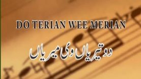 Do Teryian Wee Merian || Full Length Drama || Amanullah || New Punjabi Stage Show Drama 2018