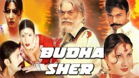 Budha Sher – SHAN, SAIMA & BABAR ALI – SUPER HIT PAKISTANI MOVIE – Pakistani Full Punjabi Movie