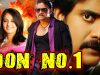 Don No. 1 (Don) Hindi Dubbed Full Movie | Nagarjuna, Anushka Shetty, Raghava Lawrence