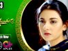 Pakistani Drama | Mere Bewafa – Episode 23 | Aplus Dramas | Agha Ali, Sarah Khan, Zhalay