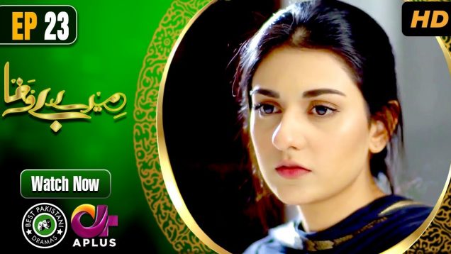 Pakistani Drama | Mere Bewafa – Episode 23 | Aplus Dramas | Agha Ali, Sarah Khan, Zhalay