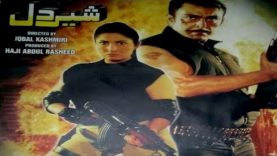 SHER DIL (2012) – SHAAN & SAIMA – OFFICIAL PAKISTANI FULL  MOVIE