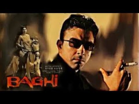 baghi pakistani movie