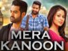 Mera Kanoon (Naaga) Telugu Hindi Dubbed Full Movie | Jr. NTR, Sadha, Raghuvaran