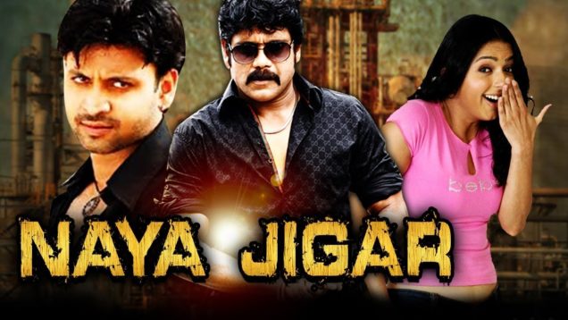 Naya Jigar (Snehamante Idera) Hindi Dubbed Full Movie | Nagarjuna, Bhumika Chawla, Sumanth