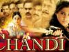 Chandi (Chandee) Hindi Dubbed Full Movie | Priyamani, Krishnam Raju, Sarathkumar