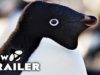 Penguins Trailer (2019) Disney Documentary