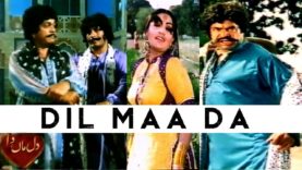 DIL MAA DA (1984) – SULTAN RAHI, SANGEETA, SHEHBAZ,  FIRDOUS, MOHD. ALI – OFFICIAL PAKISTANI MOVIE