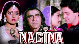 Nagina | Full Movie | Sridevi | Rishi Kapoor | Superhit Hindi Movie