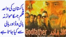 New Pakistani movie ,Godfather The langed continues