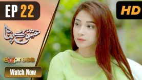 Pakistani Drama | Ishq Bepanah – Episode 22 | Express TV Dramas | Shameen, Azeeka Daniel, Rana Majid