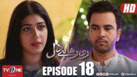 Ro Raha Hai Dil | Episode 18 | TV One Drama