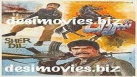 sher dil pakistani punjabi  movie