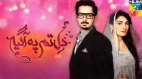 Dil Tum Per Aa Gaya | Beautiful Love Story | Telefilm | Aiza Khan | Danish Taimoor | Hum Dramas