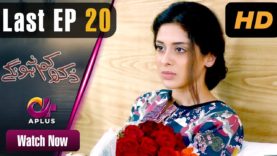 Dukh Kam Na Honge – Last Episode 20 | Aplus Dramas | Saba Faisal, Nadia Afghan | Pakistani Drama