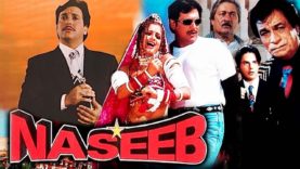 Naseeb (1997) Full Hindi Movie | Govinda, Mamta Kulkarni, Rahul Roy, Saeed Jaffrey, Kader Khan