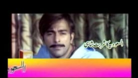 New pakistani punjabi movies 2013