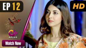 Pakistani Drama | Kyunke Ishq Baraye Farokht Nahi – Episode 12 | Aplus Dramas | Junaid Khan, Moomal