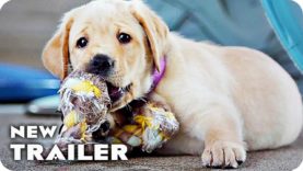 Pick of the Litter Trailer (2018) Guide Dogs Documentary