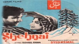 Shehnai | Pakistani Urdu Classic Movie Full HD Movie | Film Mania | Pakistani Film Mania