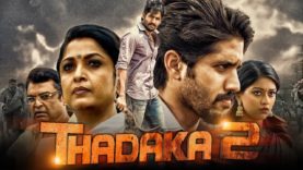 Thadaka 2 (Shailaja Reddy Alludu) 2019 New Released Hindi Dubbed Full Movie | Naga Chaitanya