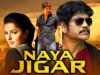 नागार्जुना और भूमिका चावला की सुपरहिट हिंदी फिल्म नया जिगर | साउथ की धमाकेदार मूवी