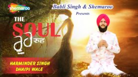 Rooh The Soul | Harminder Singh Dhaipi । Soul Of Man | Gurpreet Sekhon | New Punjabi songs 2020