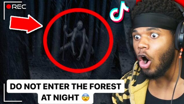 25 Scary Tiktok Videos That Will Make you Scared of The Forest…