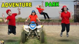 ADVENTURE PARK | Family Challenge, Quad Bike, Zip Line, Zip Bike, Obstacle Race | Aayu and Pihu Show