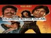 DULARI (1987) – SULTAN RAHI, ANJUMAN, IZHAR QAZI, NAGHMA, BAHAR – OFFICIAL PAKISTANI MOVIE