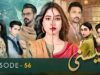 Meesni – Episode 56 ( Bilal Qureshi, Mamia, Faiza Gilani ) 12th March 2023 – HUM TV