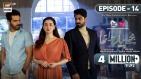 Mujhe Pyaar Hua Tha Ep 14 | Digitally Presented by Surf Excel & Glow & Lovely | 13th March 2023