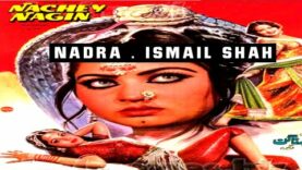 NACHAY NAGIN (1987) – NADRA, ISMAIL SHAH, SULTAN RAHI – OFFICIAL PAKISTANI MOVIE