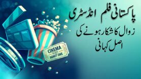 Actual Reason of Pakistani Film Industry Downfall | Pakistani Cinema Issues | Lollywood Film