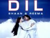 DIL (1991) – SHAAN & REEMA – OFFICIAL PAKISTANI MOVIE