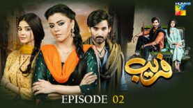 Fareb – Episode 02 – 14th May 2023 – [ Zain Baig, Zainab Shabbir , Maria Wasti ] HUM TV