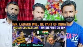Jammu and Kashmir and Ladakh Will Be Part of India | Pakistani Public Reaction
