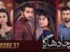 Kacha Dhaga – Episode 37 ( Hina Afridi, Usama Khan, Mashal Khan ) – 15th May 2023 – HUM TV