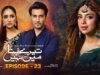 Tere Bina Mein Nahi Episode 23 | 30th May 2023 (English Subtitles) | ARY Digital