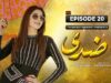 Ziddi Episode 20 [Eng Sub] – #AzekahDaniel #ShamoonAbbasi – 26 May 2023 – AAN TV