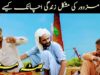 Bhtha Mazdoor|Emotional Story|Pakistani Sraiki Punjabi drama|Full Action movie|Javed HD TV