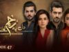 Dil Pe Zakham Khaye Hain – Episode 47 – [ Tuba Anwar & Shahzad Noor ] 22nd August 2023 – HUM TV