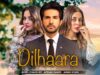 Dilhaara | Full Movie | Aiman Khan, Adeel Chaudhry, Azekah Daniel | A Romantic Love Story | C4B1G