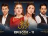 Ehsaan Faramosh | Episode 11 | 22nd August 2023 (English Subtitles) ARY Digital Drama