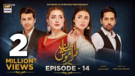 Ehsaan Faramosh | Episode 14 | 25th August 2023 (English Subtitles) ARY Digital Drama