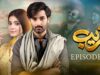 Fareb – Episode 16 – 20th Aug 2023 – [ Zain Baig, Zainab Shabbir , Maria Wasti ] HUM TV