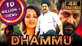 Dhammu (4K) – Jr NTR Blockbuster Action Movie | Trisha Krishnan, Karthika Nair, Brahmanandam