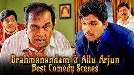 Brahmanandam & Allu Arjun Best Comedy Scenes | ब्रह्मानंदम और अल्लू अर्जुन की लोट पोट वीडियो