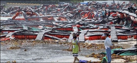 شمالی اور جنوبی کوریا میں سمندری طوفان سے 14 افراد ہلاک