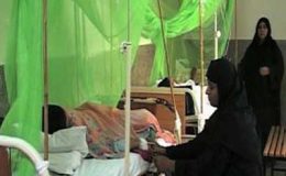 لاہور : ڈینگی، جاں بحق افراد کی تعداد سات ہو گئی